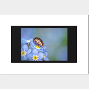 Rosemary Beetle on Forget-me-not Posters and Art